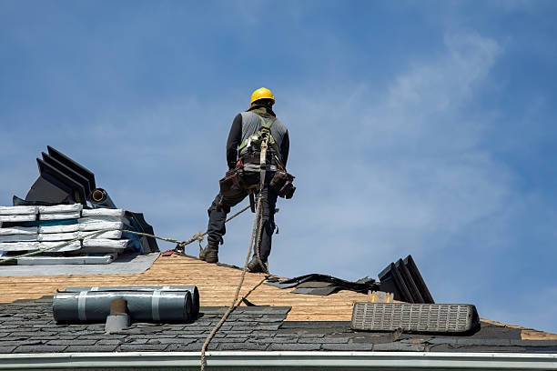 Professional Roof Inspection technician working in Doucette, TX